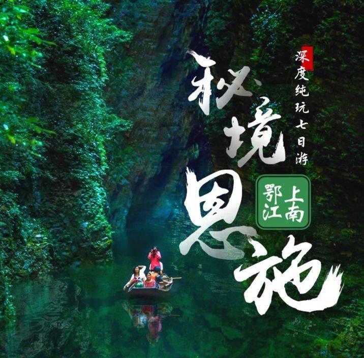 植物大战僵尸9